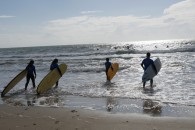 surf